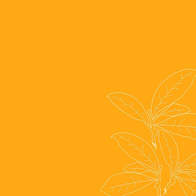 SheaMoisture Weightless Hydrating Detangler For