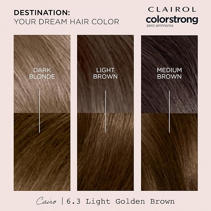 Clairol ColorStrong Permanent Zero Ammonia Hair Dye, 6.3 Light Golden Brown - Cairo Hair Color, Pack of 1