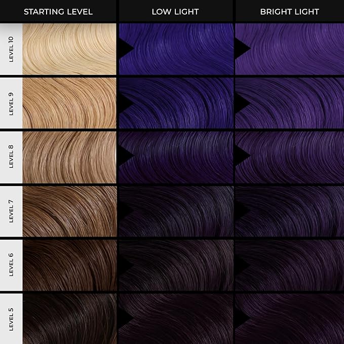 XMONDO Color Blue + Purple