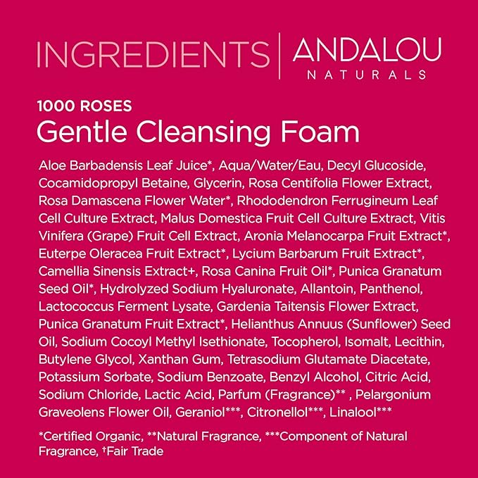 Andalou Naturals 1000 ROSES Gentle Cleansing Foam Face Wash, Hydrating Foaming Facial Cleanser with Rosewater & Aloe for Women & Men, Non Toxic, Vegan