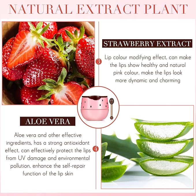 12 Pcs Bee Lip Balm Honey