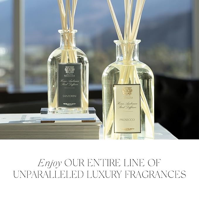 Antica Farmacista Hand Wash -Warm White, 10 Fl Oz (Pack of 1)