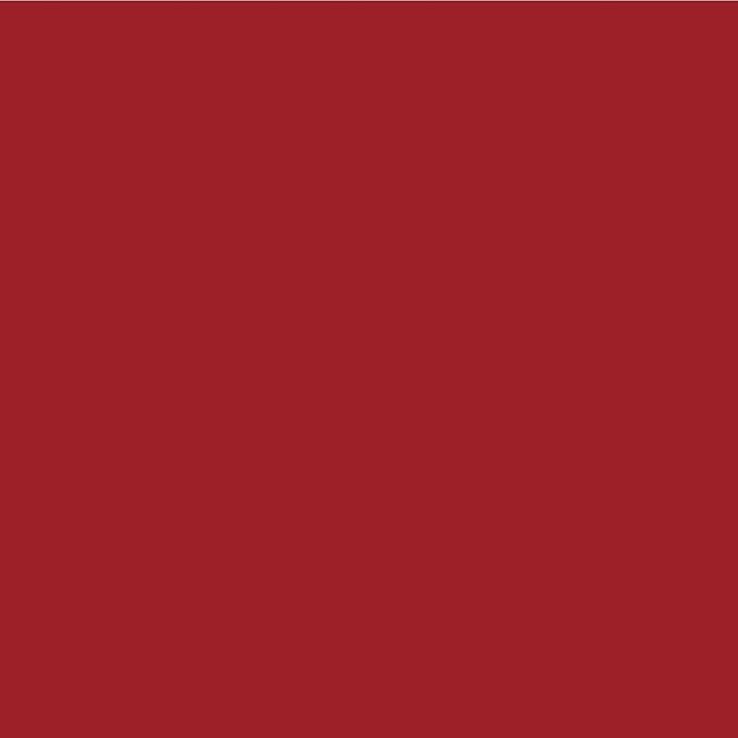 Palladio Retractable Waterproof Lip Liner High Pigmented and Creamy Color Slim Twist Up Smudge Proof Formula with Long Lasting All Day Wear No Sharpener Required, Red Rose