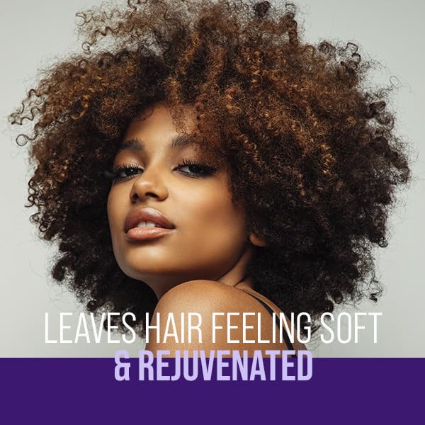 The Mane Choice The Alpha Easy On The Curls Hydration Curly Hair Conditioner, Nourishing Detangling Conditioner Enriched with Biotin & Vitamin E, Sulfate & Paraben-Free, 8 oz