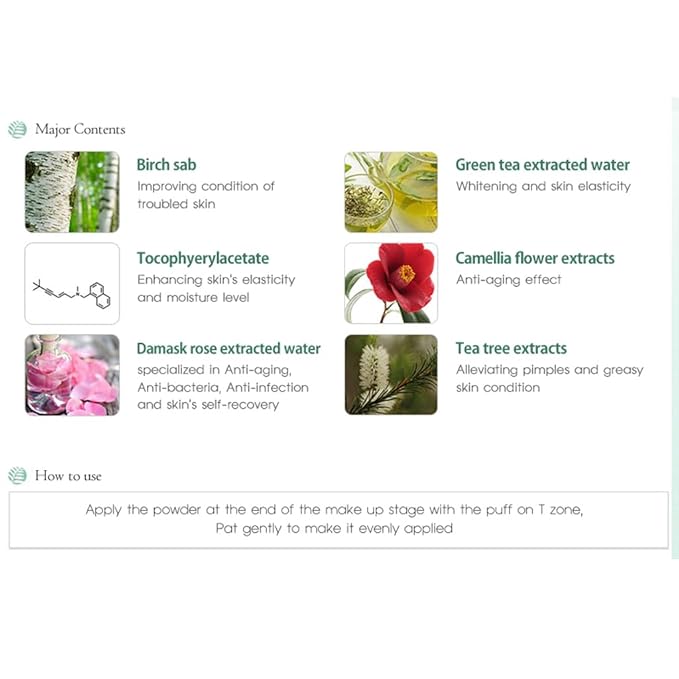 THESAEM Saemmul Perfect Pore Powder - Oil & 2 Pack 18oz