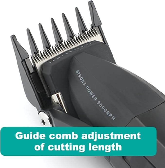 VGR 003 Fresh Fade Hair