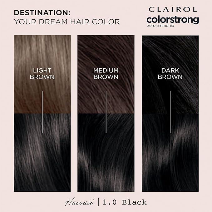 Clairol ColorStrong Permanent Zero Ammonia Hair Dye, 1.0 Black - Hawaii Hair Color, Pack of 1