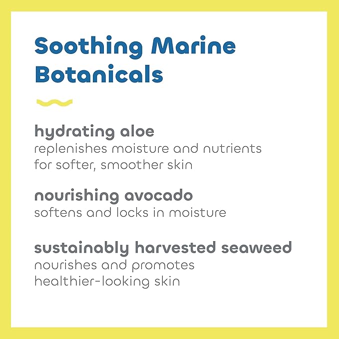 Seaweed Bath Co. Clear Guard SPF 40 Sport Broad Spectrum Sunscreen Spray, 6 Ounce, Sustainably Harvested Seaweed, Aloe, Avocado Oil