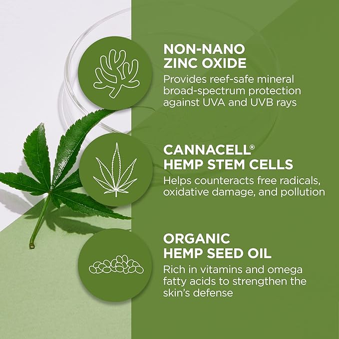 Andalou Naturals Face Sunscreen, CannaCell Sun Buddy SPF 2.7 Fl Oz