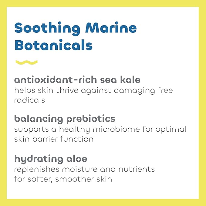 Seaweed Bath Co. Everyday Mineral SPF 40 Broad Spectrum Sunscreen Lotion, 3.4 Ounce (Pack of 2), Sustainably Harvested Seaweed, Sea Kale, Prebiotics