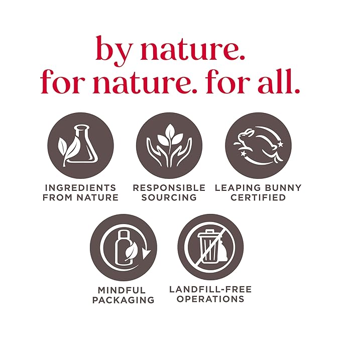 Burt's Bees 100% Natural Moisturizing Lip Gloss, Sunny Day - 1 Tube (Pack of 2)