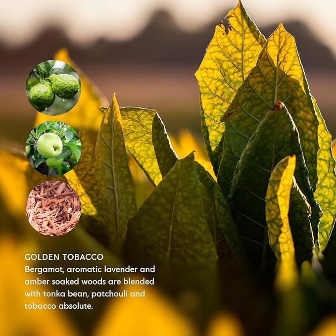 Mistral Bar Soap, Golden Tobacco, Large Bar