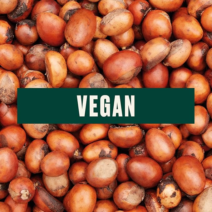 The Body Shop 100% Natural Shea Butter – Nourishing Multi Purpose Butter for Body, Hair, Face & Lips – Vegan – 5 oz